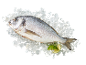 Peixe fresco no gelo com uma rodela de lima e endro.