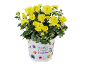 Crisântemo amarelo em vaso branco com decorações florais e de borboletas, com texto 'SEASONAL COLOURS'.
