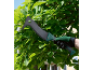 Catana de jardinagem com luva, usada para cortar vegetação exuberante.