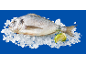 Peixe fresco no gelo com uma rodela de lima e um raminho de endro.