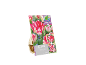 Pacote de 8 bolbos de tulipa 'Cartouche' com flores vermelhas e brancas que mudam de cor.