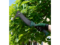 Pessoa com luvas de jardinagem usando uma ferramenta de jardim multifuncional para podar um arbusto.
