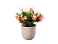 Cato de Natal em vaso com flores laranja e brancas.