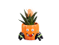 Suculenta com tema de Halloween num vaso laranja em forma de abóbora com pernas de aranha