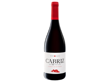 Vinho Tinto Dão DOC Colheita Selecionada