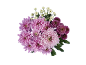 Ramo de crisântemos rosa e roxos com pequenas flores brancas.