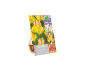 Pacote de 8 bolbos de tulipa 'Antoinette' com flores amarelas que mudam de cor.