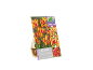 Bolbos de tulipa com embalagem mostrando tulipas 'Color Spectacle' que mudam de cor