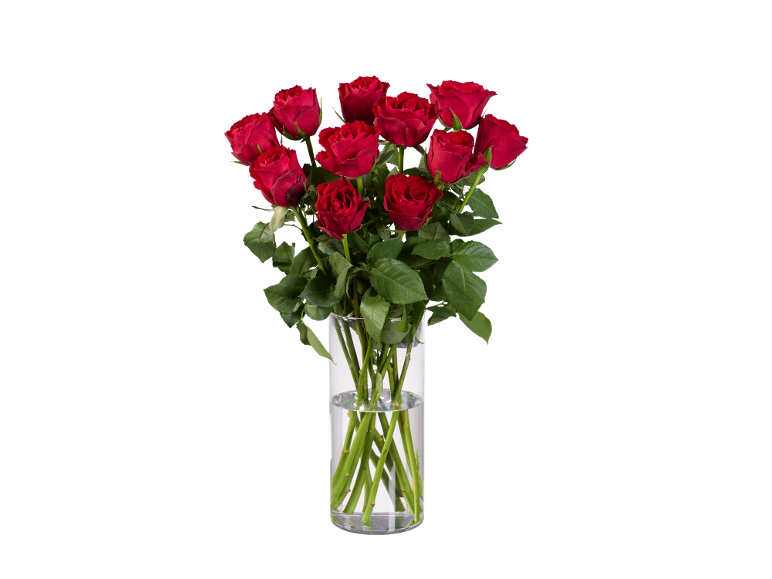 Um ramo de rosas vermelhas frescas num vaso de vidro transparente.