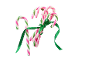 Bengalas doces listradas em rosa e verde, amarradas com uma fita verde.