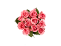 Ramo de rosas cor-de-rosa com folhas verdes sobre fundo preto