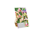 Pacote de 8 bolbos de tulipa 'Candy Club' que mudam de cor, tamanho 11/12 cm.