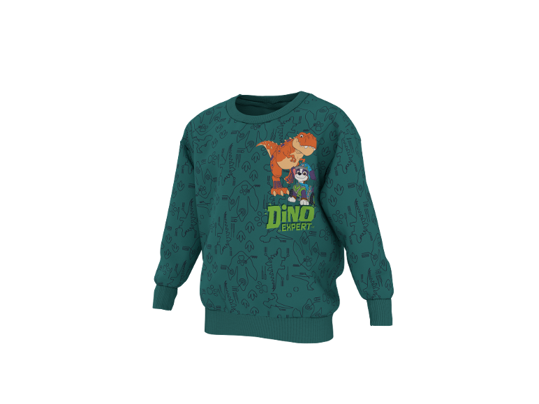 Camisola verde com estampa de dinossauros e texto 'Dino Expert'.