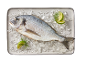 Peixe fresco dourada sobre gelo com rodelas de lima e endro numa travessa.
