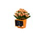 Planta em vaso laranja com um quadro que exibe o teorema de Pitágoras.