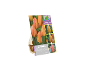 Pacote de 10 bolbos de tulipa 'Rhapsody of Smiles' que mudam de cor, tamanho 11/12 cm.