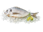 Peixe fresco no gelo com uma rodela de lima e endro.