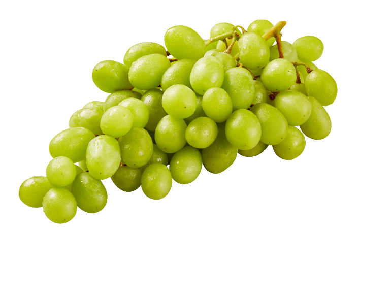 Cacho de uvas verdes frescas com gotas de água sobre fundo preto.