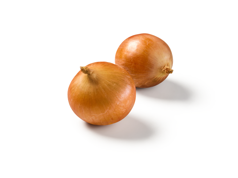 Duas cebolas de casca castanha sobre um fundo branco.