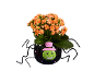 Kalanchoe laranja num vaso preto em forma de aranha com rosto verde e chapéu rosa