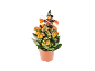 Planta em vaso com flores laranja e decoração de bruxa de Halloween.