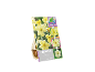 Embalagem de bolbos de narciso 'Cassata' com flores que mudam de cor.