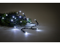 Ramos de abeto com luzes de Natal brancas brilhantes sobre um fundo escuro.