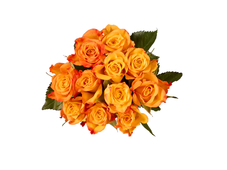 Ramo de rosas laranjas com folhas verdes sobre fundo preto.