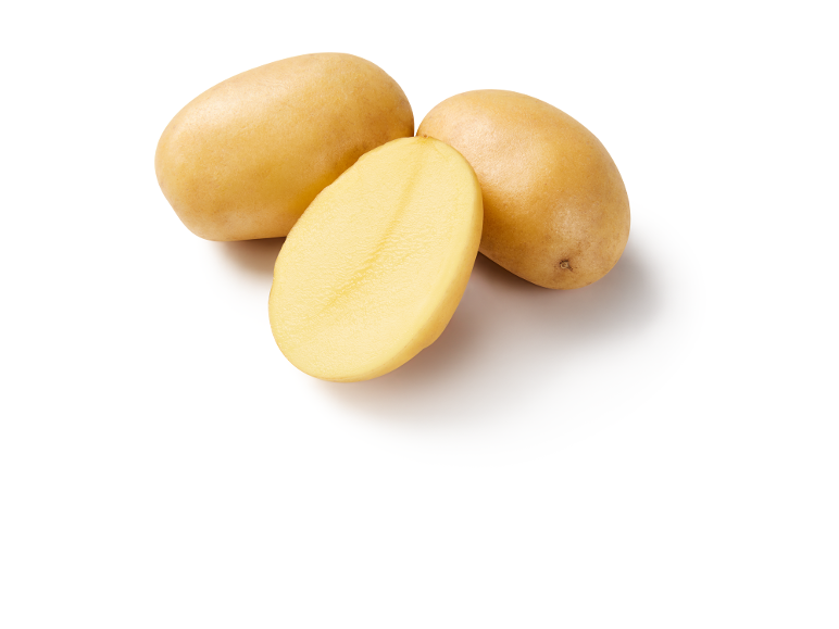 Batatas frescas, uma cortada ao meio, sobre um fundo branco.