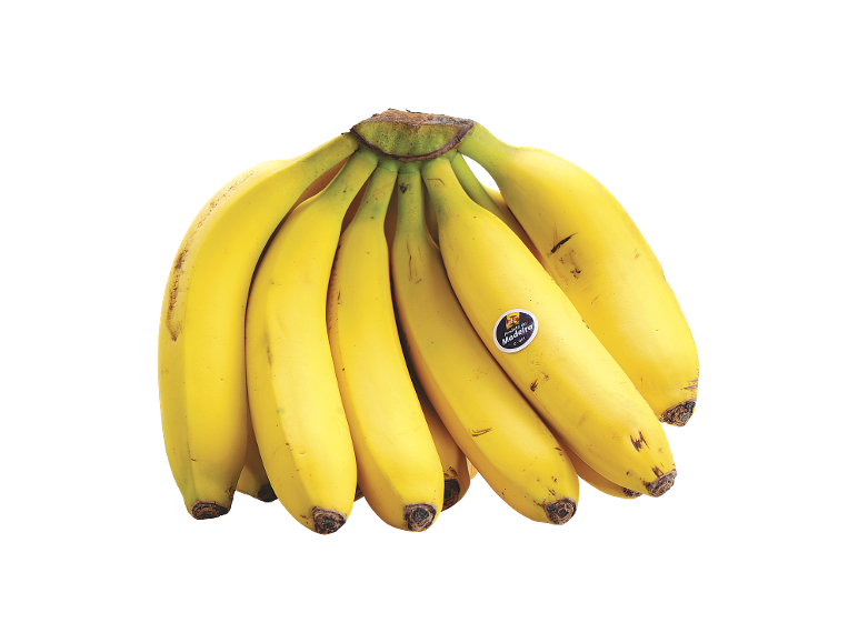 Um cacho de bananas amarelas com uma etiqueta que diz 'Produto da Madeira'.