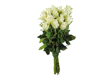Molho de Rosas