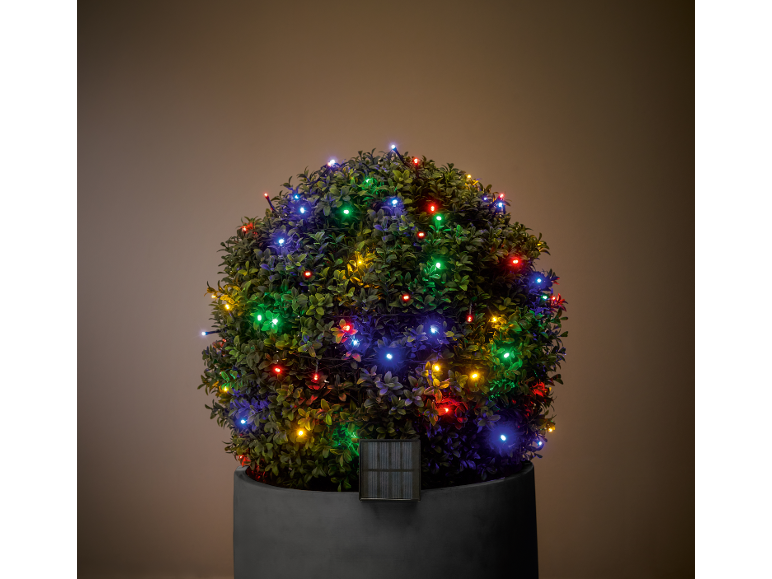 Planta ornamental verde com luzes coloridas num vaso, com painel solar.