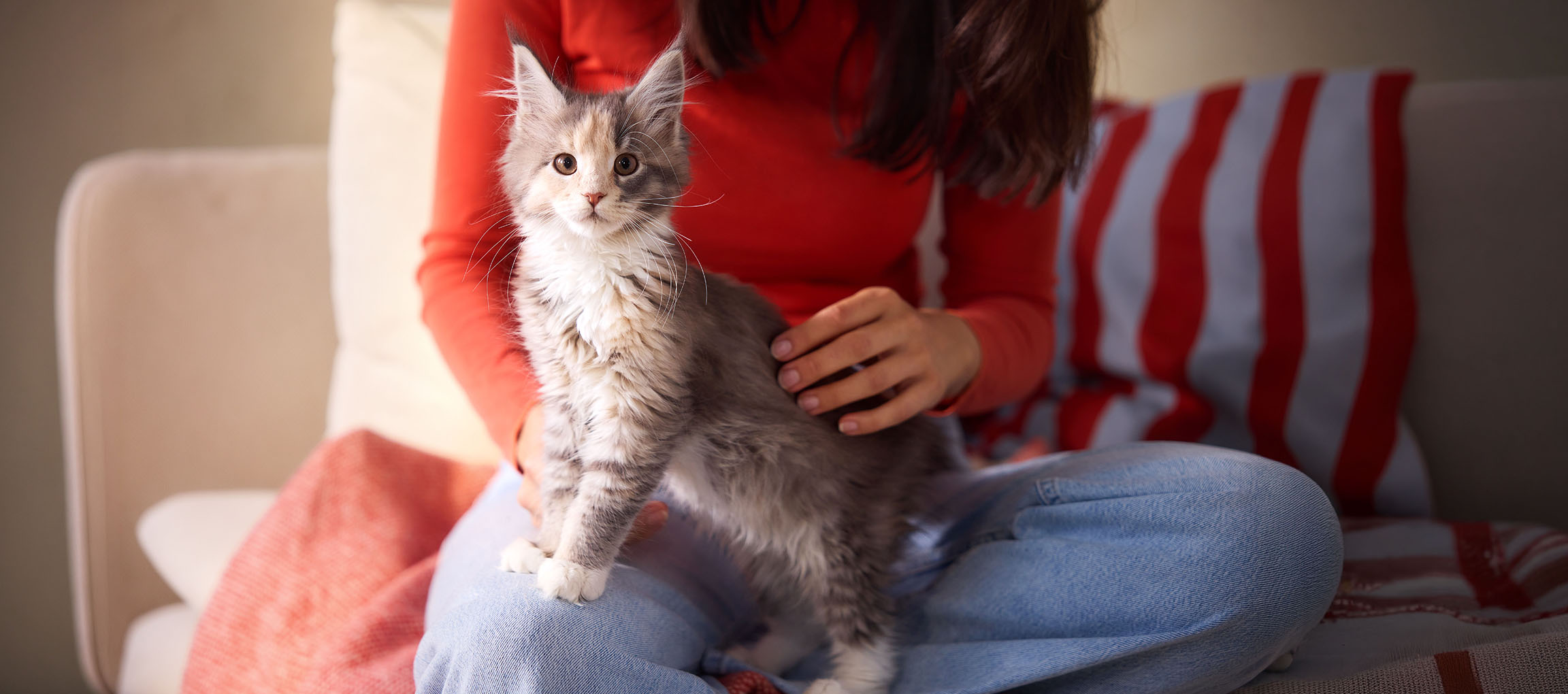 Mulher de camisa vermelha acariciando um gatinho sentado no seu colo num sofá.