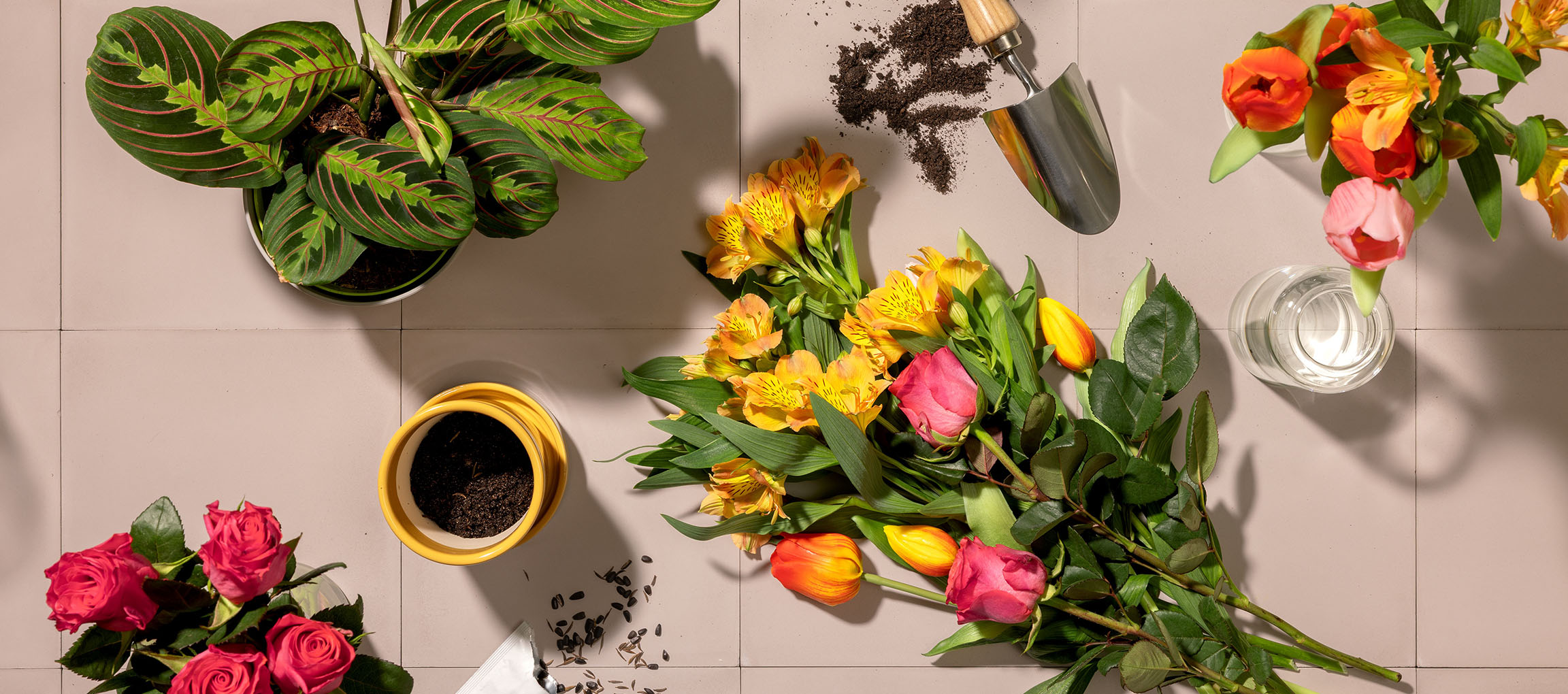 Flores frescas, planta em vaso e ferramentas de jardinagem em fundo claro.