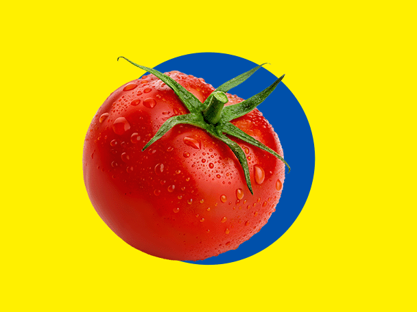Um tomate vermelho fresco com gotas de água, sobre um fundo amarelo com um círculo azul.