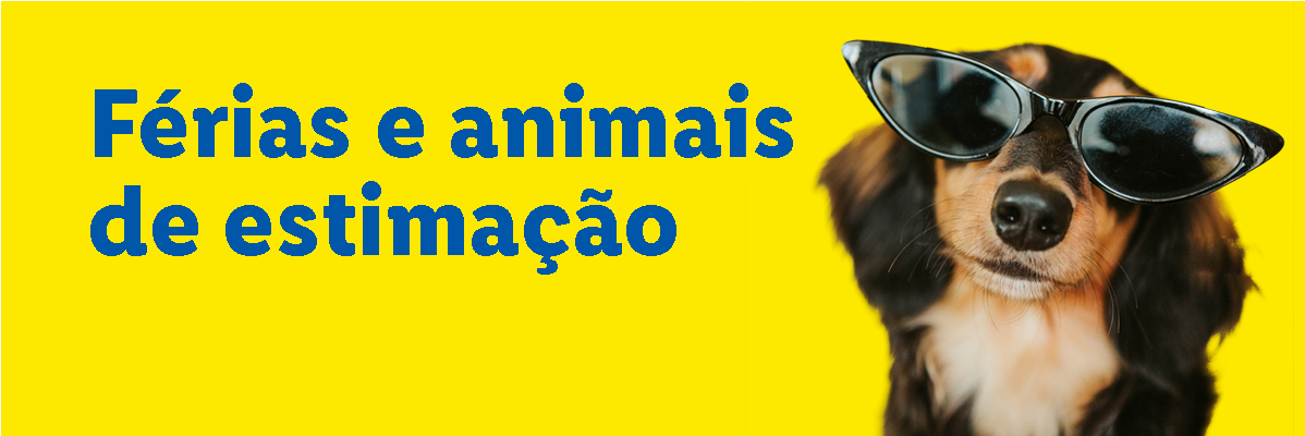 Férias e animais de estimação: algumas dicas para os donos