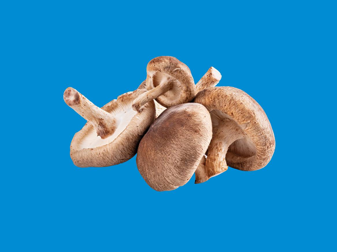 Cogumelos shiitake frescos sobre fundo azul.