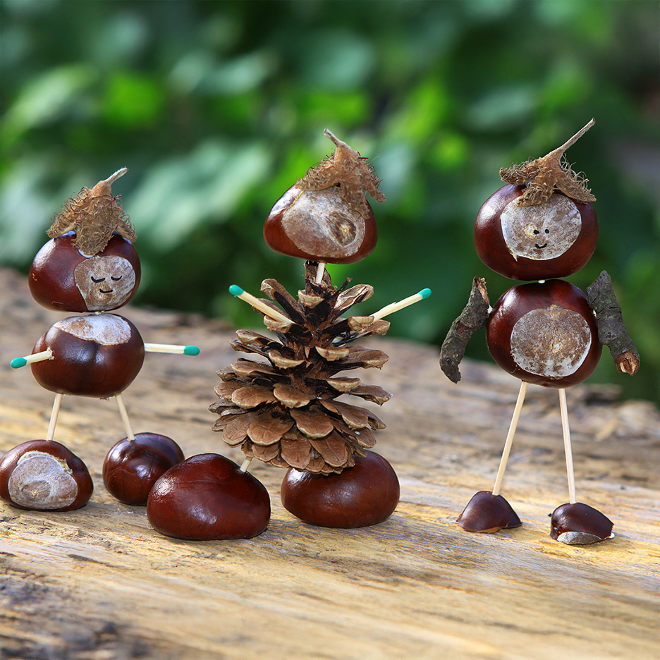 Figuras de castanhas e pinhas numa superfície de madeira.