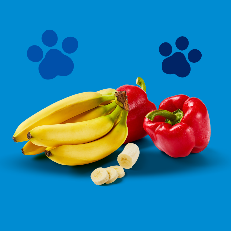 Bananas e pimentões vermelhos com pegadas de pata em fundo azul.
