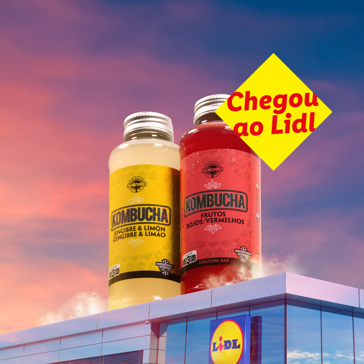 Kombucha Solevita chegou ao Lidl: sabores gengibre-limão e frutos vermelhos.