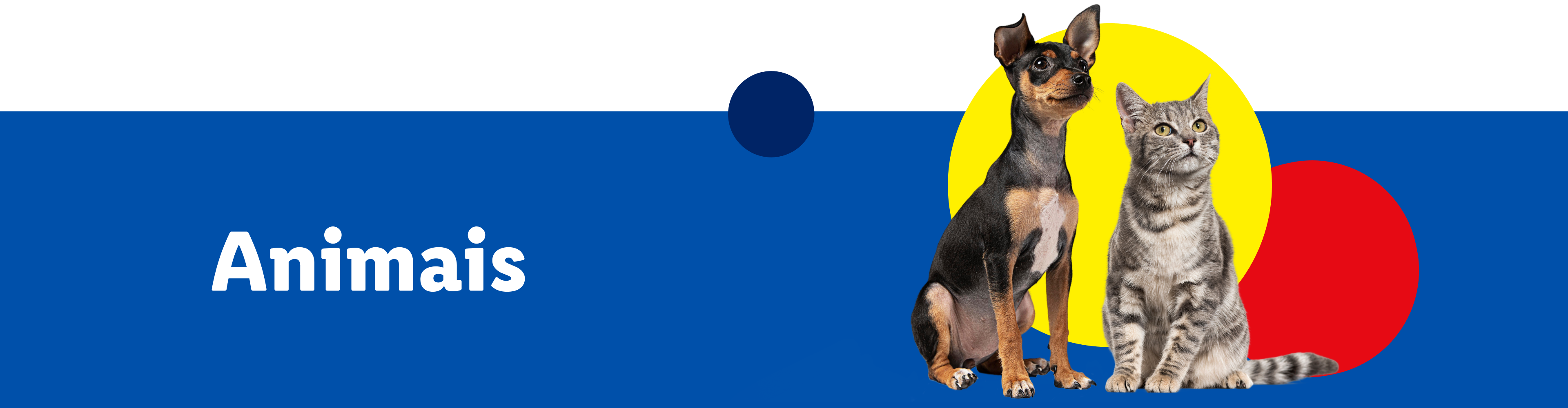 Um cão e um gato sentados juntos, com a palavra 'Animais' abaixo deles.