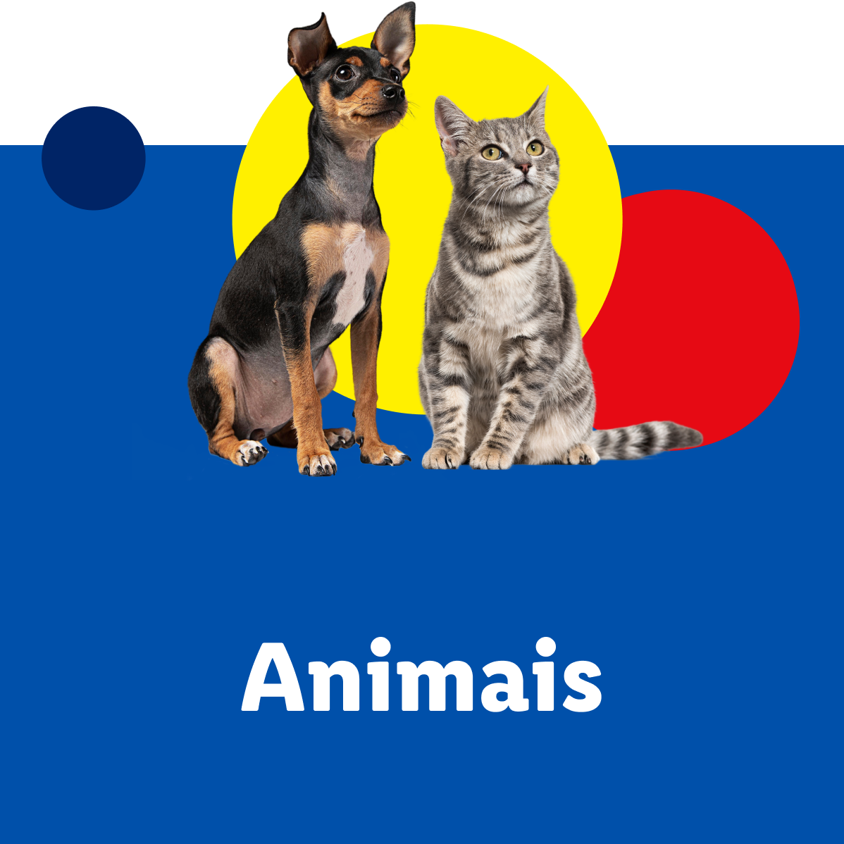 Um cão e um gato sentados juntos, com a palavra 'Animais' abaixo deles.
