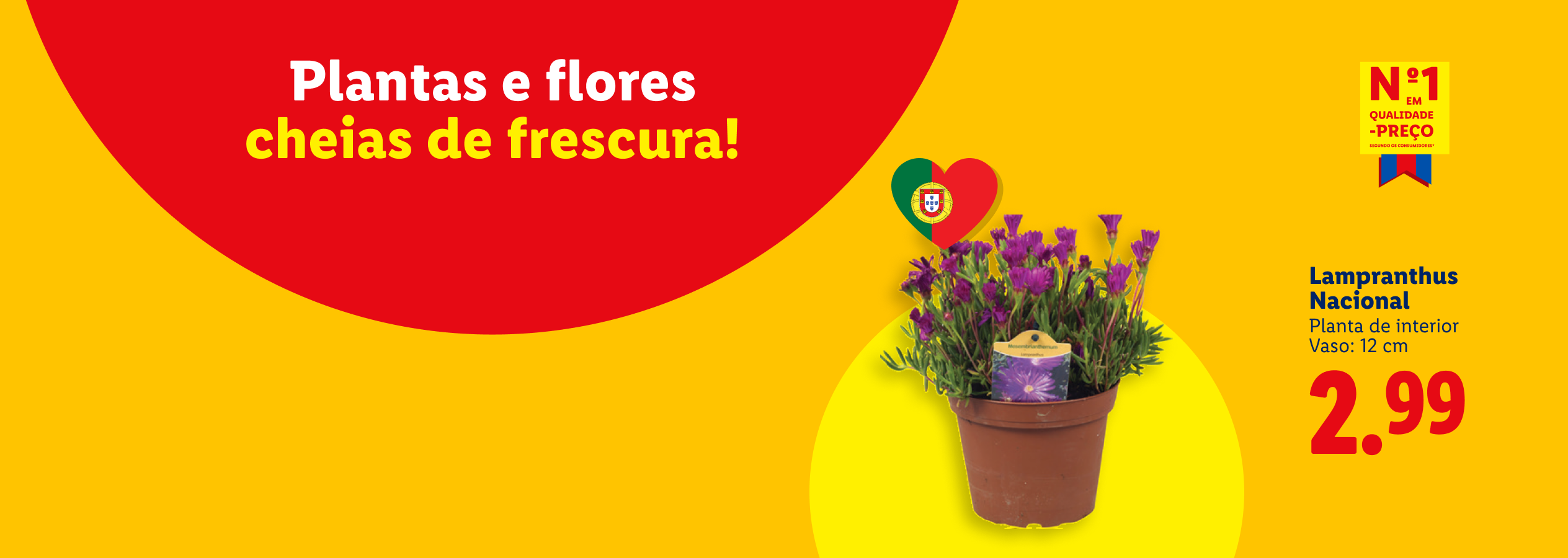 Anúncio de plantas e flores frescas, com um Lampranthus Nacional em vaso de 12 cm por 2,99€.