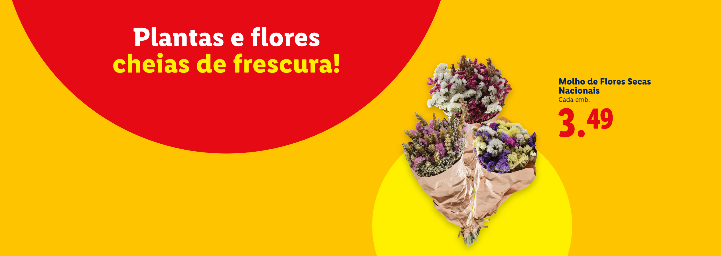 Plantas e flores cheias de frescura! Molho de Flores Secas Nacionais, cada emb. 3.49.