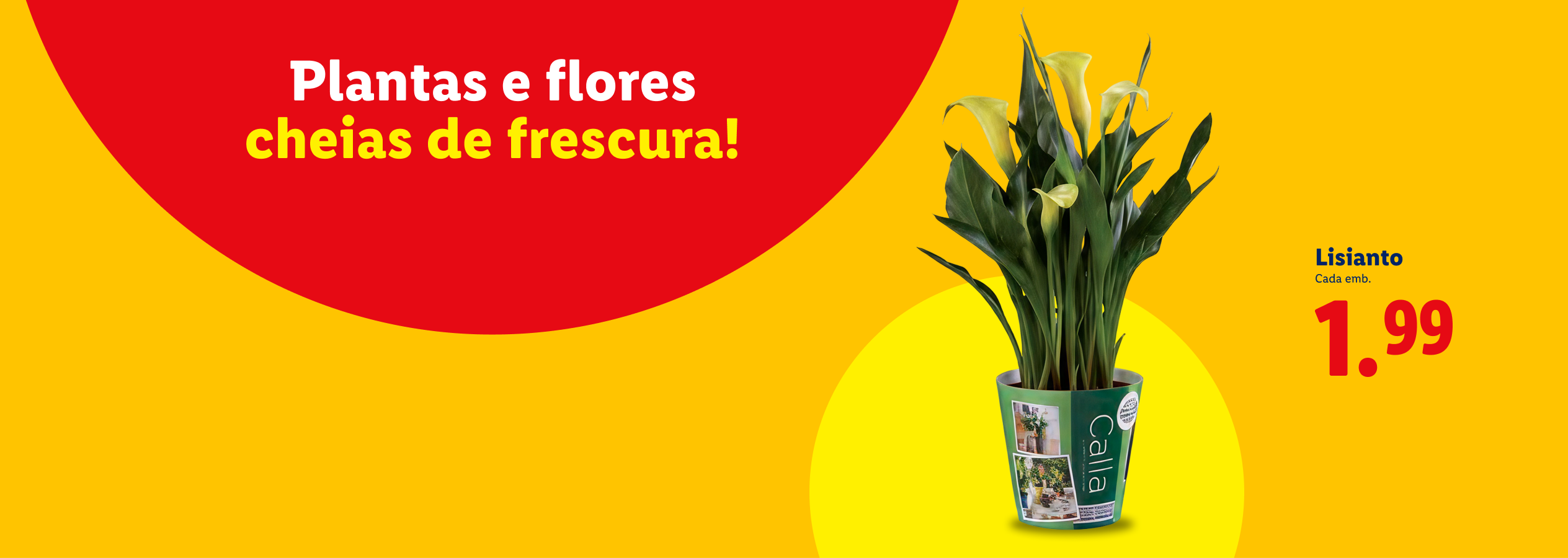 Anúncio de plantas e flores frescas, com uma planta Calla em vaso e preço de 1,99€.