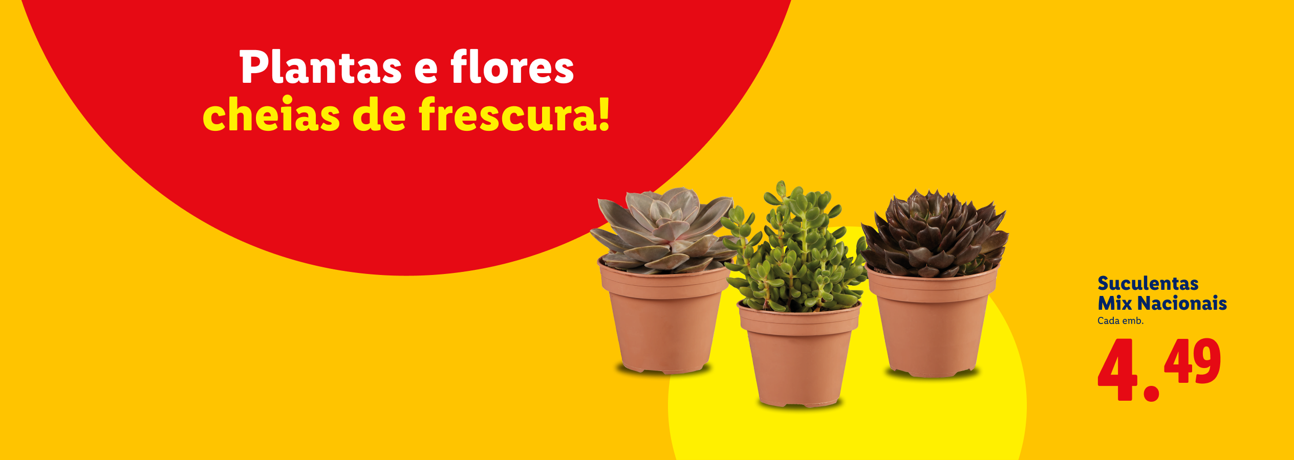 Três suculentas em vasos de terracota, com texto 'Plantas e flores cheias de frescura!' e preço '4.49'.