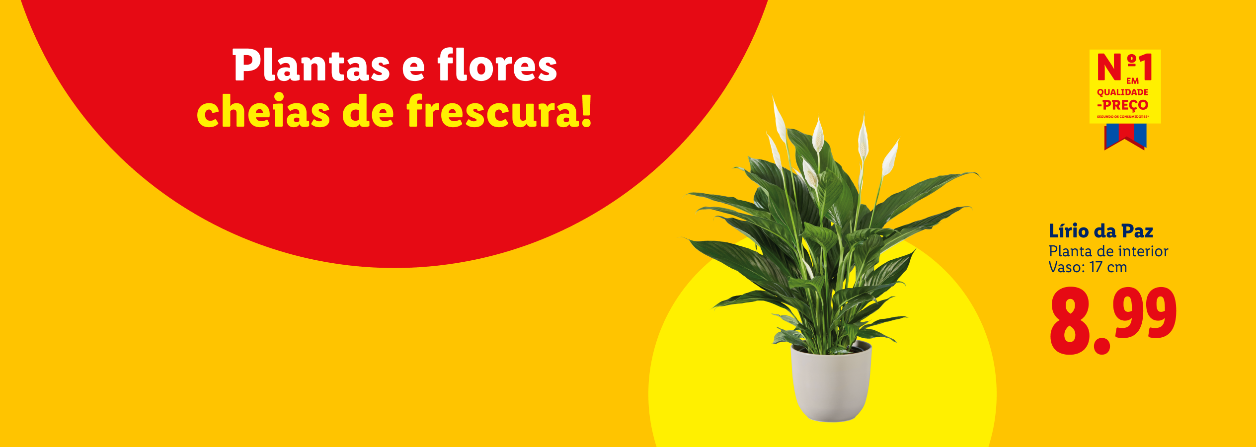Anúncio de Lírio da Paz, planta de interior, vaso de 17 cm, por 8,99€, com o slogan 'Plantas e flores cheias de frescura!'.