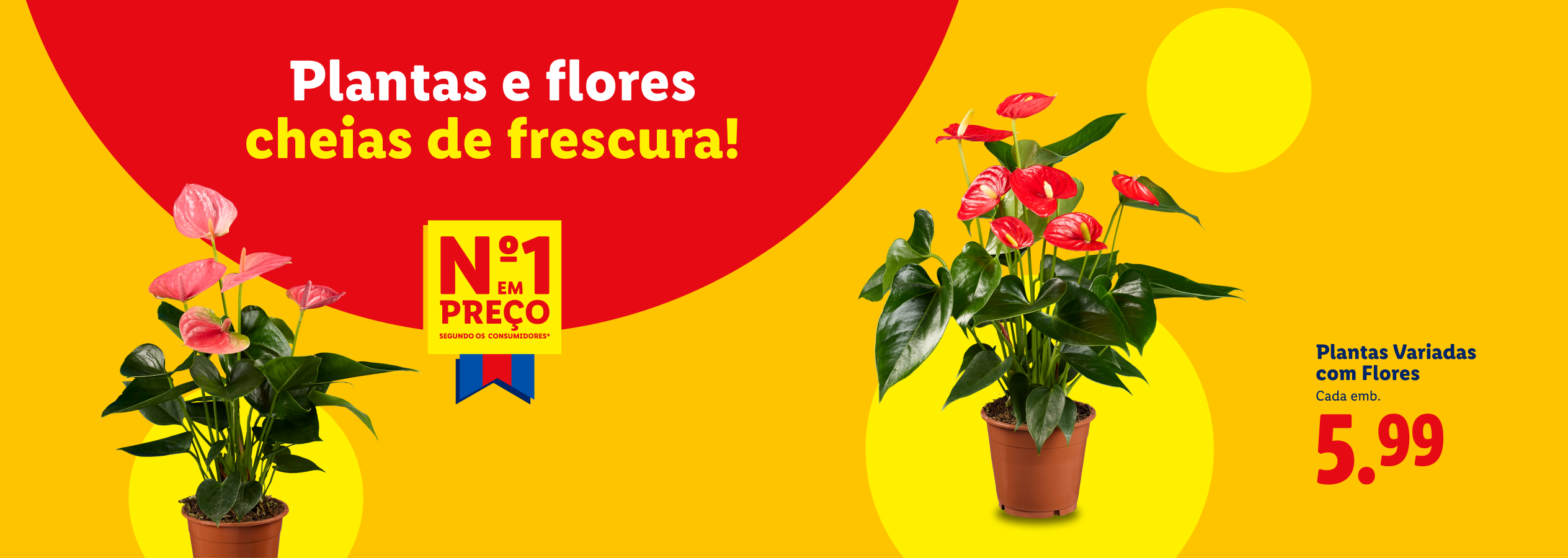 Plantas e flores frescas, com destaque para antúrios, e preço de 5,99.