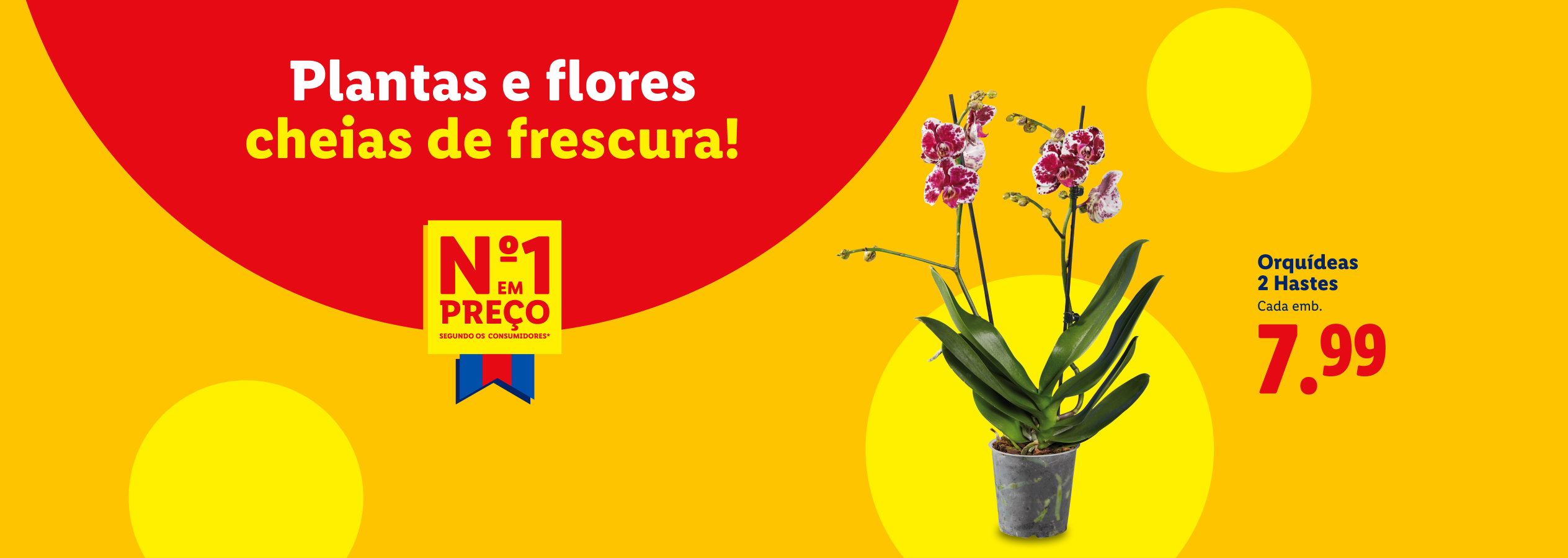 Orquídeas com 2 hastes por 7,99€, destacando a frescura e o preço número 1.