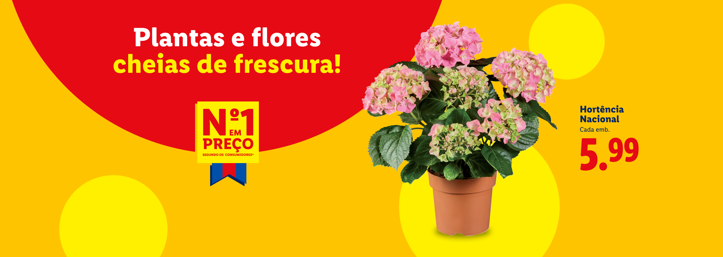 Anúncio de plantas e flores frescas, com uma hortênsia rosa em destaque e o preço de 5,99.